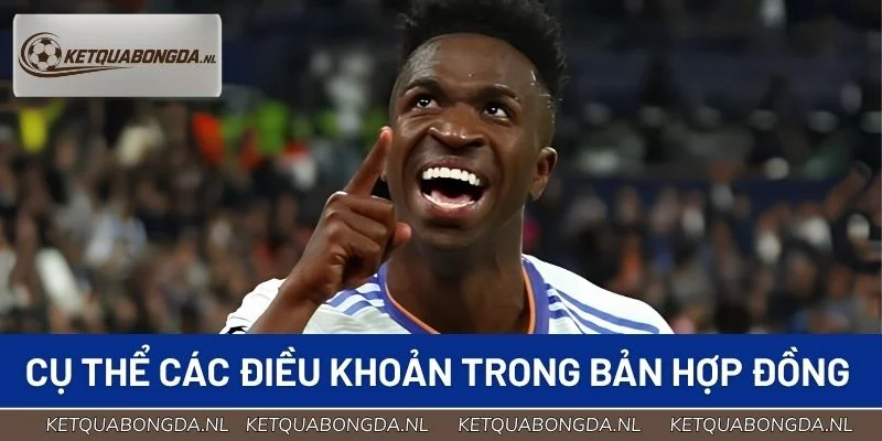 Cụ thể các điều khoản trong bản hợp đồng