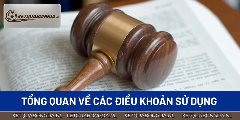 Các quy định, điều khoản được thiết lập để bảo vệ hai bên