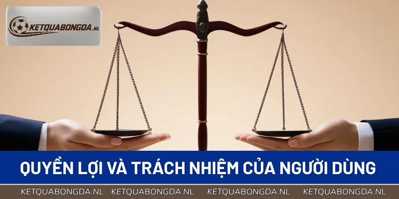 Quyền lợi và trách nhiệm người dùng khi tuân thủ quy định