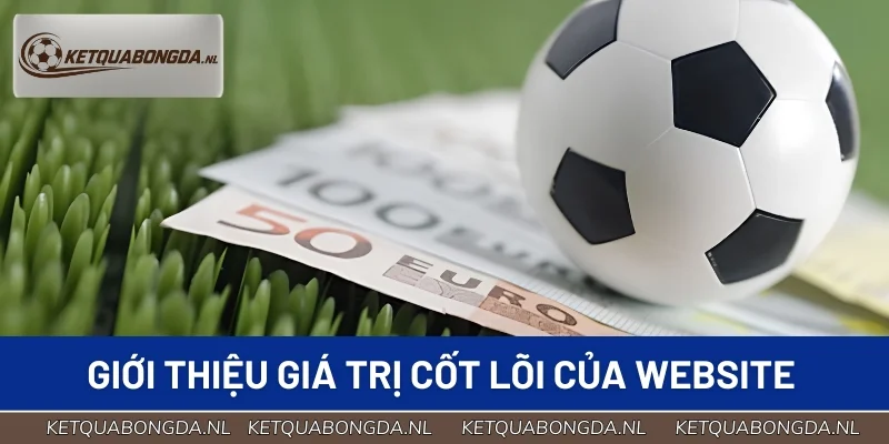 Giới thiệu giá trị cốt lõi của website