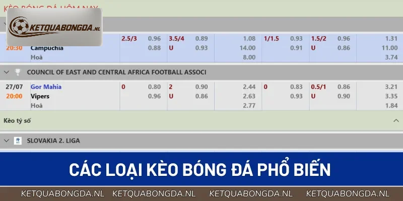 Tổng hợp các loại kèo nhà cái phổ biến mà bạn cần biết
