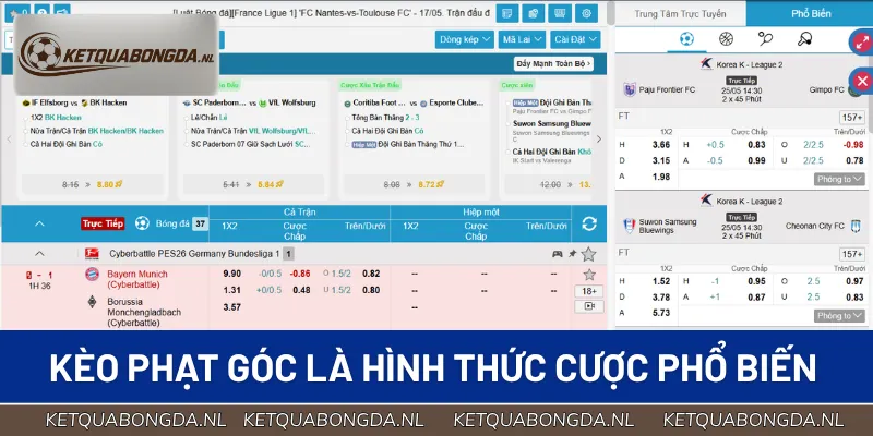 Kèo phạt góc là hình thức cược phổ biến trong bóng đá