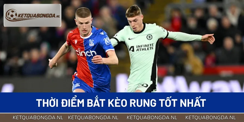 Các thời điểm vàng để vào kèo rung đạt hiệu quả cao nhất