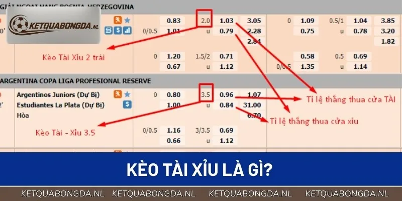 Kèo Tài Xỉu còn có ký hiệu là O/U và gọi là Over/Under