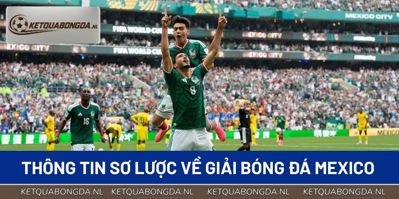 Bóng đá Mexico thu hút lượng lớn fan hâm mộ toàn cầu