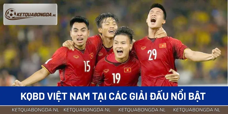 Các giải đấu trong nước đều có mặt đầy đủ tại website