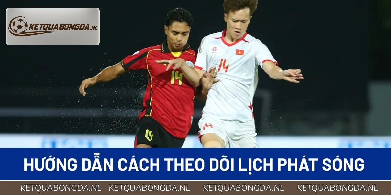 Hướng dẫn tra cứu lịch phát sóng cho tân binh