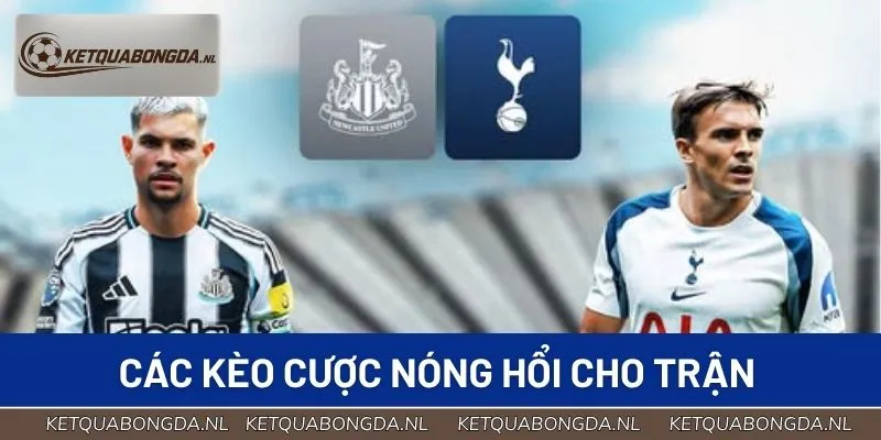 Các kèo cược nóng hổi cho trận Tottenham vs Newcastle